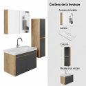 Meuble de salle de bain Dallas 80 cm 4 pièces anthracite vasque miroir colonne